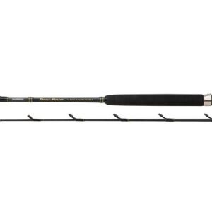 Shimano Beastmaster BX Slim Boat Fiskestang