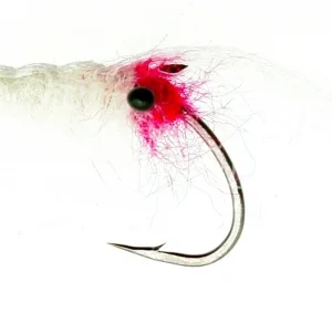 Ghostshrimp White