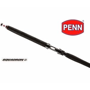 Penn Squadron II 215 MH – 50 lbs – 5 delt Pirkestang