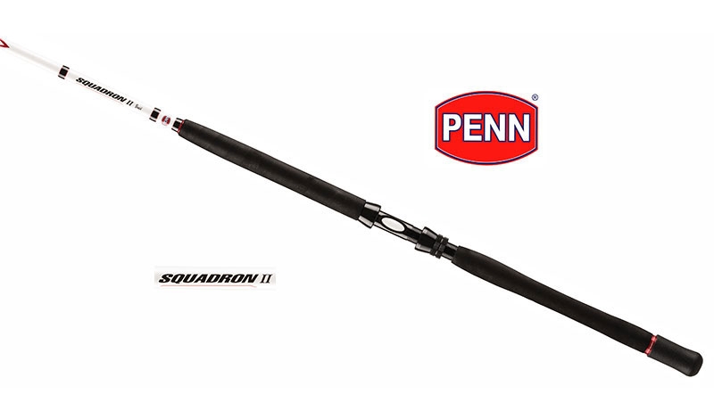 Penn Squadron II 215 MH – 30 lbs – 5 delt Pirkestang - Billede 2